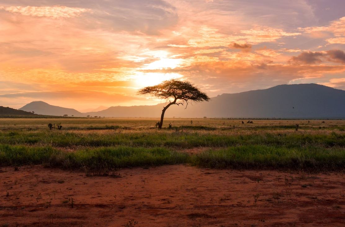 El Cambio Climático en África: Un Desafío de Salud Pública