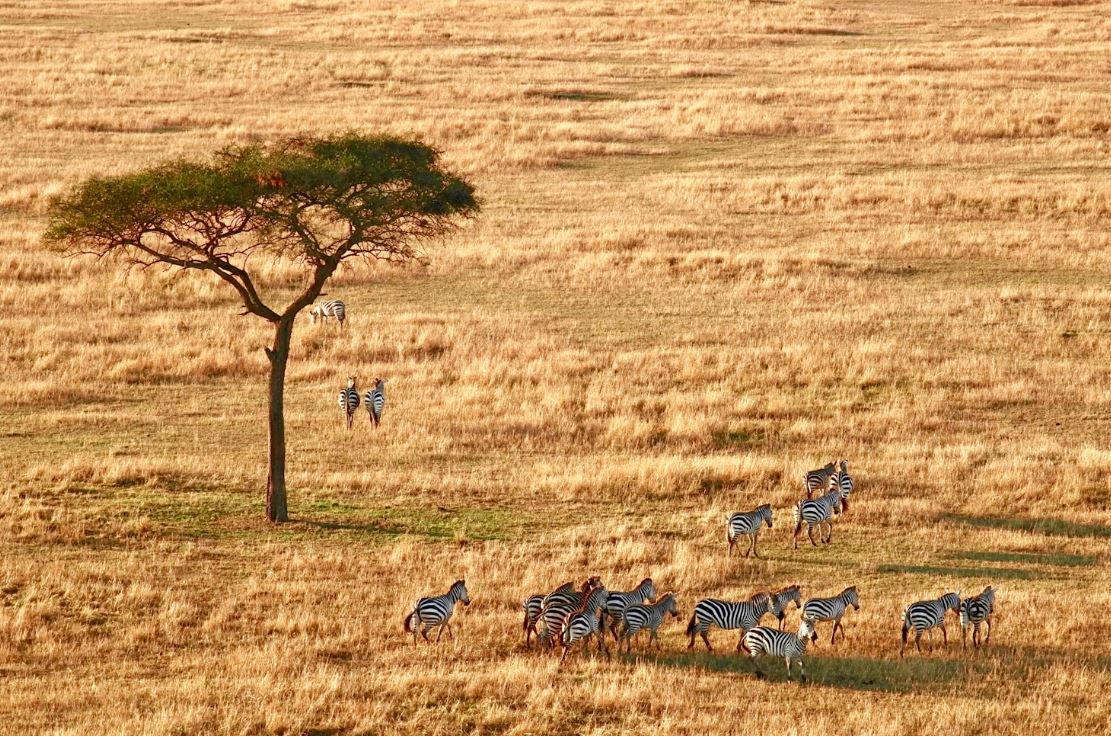 ¿Cómo afecta el cambio climático a África?